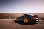 BMW Z4 M by Slek Designs 2014 года